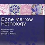 Bone Marrow Pathology - 2019