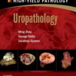 Uropathology (A Volume in the High Yield Pathology Series) - 2012
