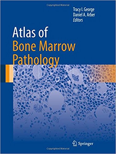 209781493974672.jpg Atlas of Bone Marrow Pathology - 2018 - تصویر 1
