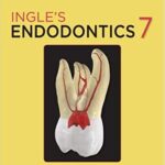 Ingle`s ENDODONTICS - 2019