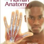 Human Anatomy - 2012