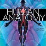 Human Anatomy - 2014