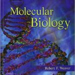 Molecular Biology - Weaver - 2012