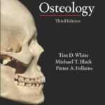Human Osteology - 2012