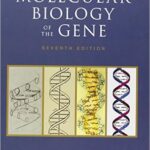 Molecular Biology of the Gene - 2014