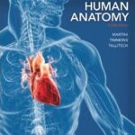 Human Anatomy - 2015