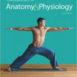 Fundamentals of Anatomy & Physiology - 2015