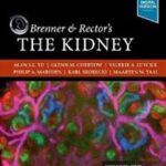 The Kidney, 3-Volume Brenner and Rector`s - 2020