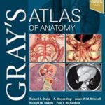 Atlas of Anatomy Gray`s - 2021
