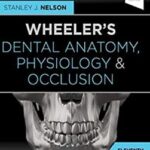 Dental Anatomy, Physiology and Occlusion - Wheeler`s - 2020