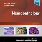 Neuropathology: A Volume in the Series: Foundations in Diagnostic Pathology - 2024