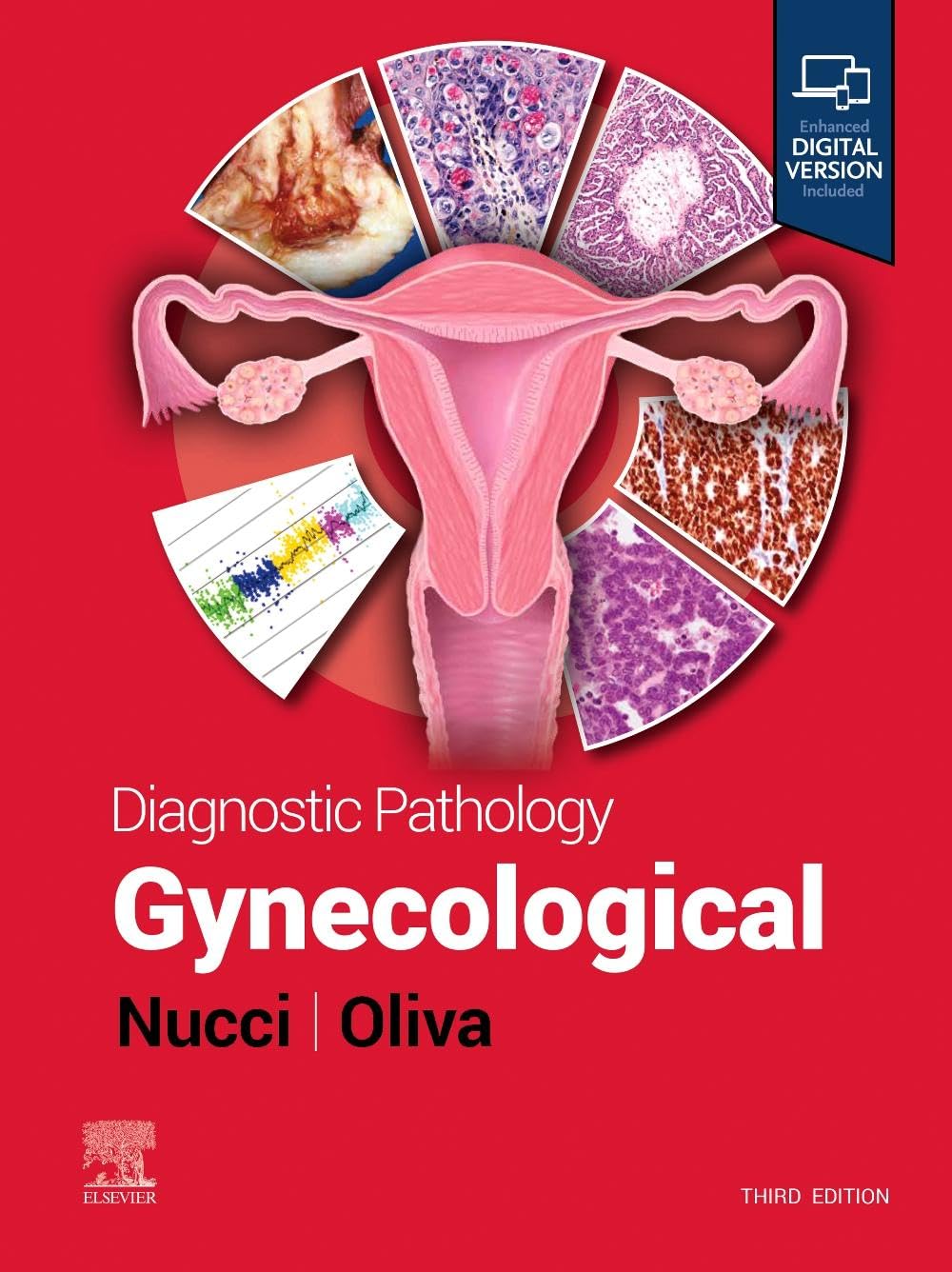 9780443104565.jpg Diagnostic Pathology: Gynecological - 2024 - تصویر 1