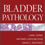 Bladder Pathology - 2012