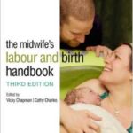 The Midwife`s Labour and Birth Handbook - 2013