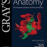 Anatomy: The Anatomical Basis of Clinical Practicez - Gray`s -2vol - 2016