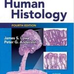Human Histology - Stevens & Lowe`s - 2015