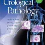 Urological Pathology - 2014