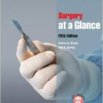 Surgery at a Glance - 2013