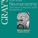 Clinical Neuroanatomy: The Anatomic Basis for Clinical Neuroscience - Gray`s - 2011