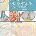 Concise Orthopaedic Anatomy-Netter`s - 2010