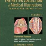 The Netter Collection of Medical Illustrations, Vol 7 - Nervous System, Part II - Spinal Cord and Peripheral Motor and Sensory Systems - 2013