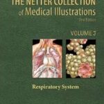 The Netter Collection of Medical Illustrations ,Vol 3 - Respiratory System: - 2011