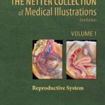 The Netter Collection of Medical Illustrations , vol 1- Reproductive System - 2011