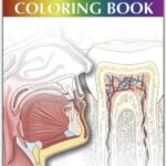 Dental Assisting Coloring Book - 2011