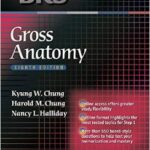 BRS Gross Anatomy - 2015