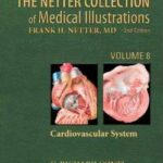 The Netter Collection of Medical Illustrations,Vol 8- Cardiovascular System - 2014