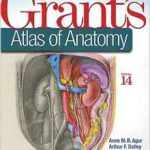 Atlas of Anatomy - Grant`s - 2017
