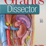 Dissector - Grant`s - 2017