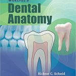 Dental Anatomy Woelfels - 2017