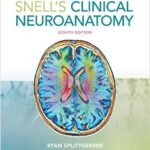 Clinical Neuroanatomy Snell`s - 2019