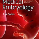 Medical Embryology Langman`s - 2019