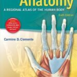 Anatomy: A Regional Atlas of the Human Body-CLEMENTE - 2011
