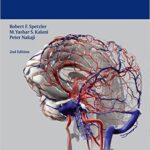 Neurovascular Surgery - 2015