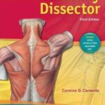 Anatomy Dissector - Clemente`s - 2011