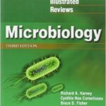 Microbiology (Lippincott`s Illustrated Reviews Series) - 2013