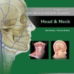 Lippincott`s Concise Illustrated Anatomy-VOLUME 3: Head & Neck - 2014