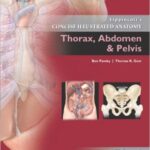 Lippincott`s Concise Illustrated Anatomy- Volume 2: Thorax, Abdomen & Pelvis - 2013