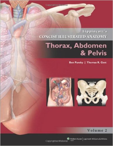 9781609130282.jpg Lippincott`s Concise Illustrated Anatomy- Volume 2: Thorax, Abdomen & Pelvis - 2013 - تصویر 1