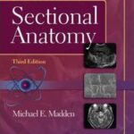 Introduction to Sectional Anatomy - 2013