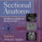 Introduction to Sectional Anatomy Workbook and Board Review Guide - 2013