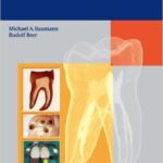 Endodontology - 2010